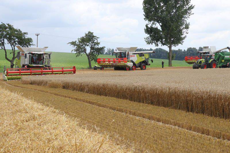 Nowe kombajny Claas Trion.