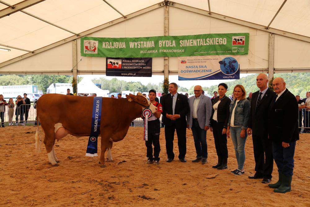 Wśród czempionów komisja wyłoniła 2 superczempiony – w kategorii krów została nim Riega w II laktacji z hodowli SK Pępowo.
