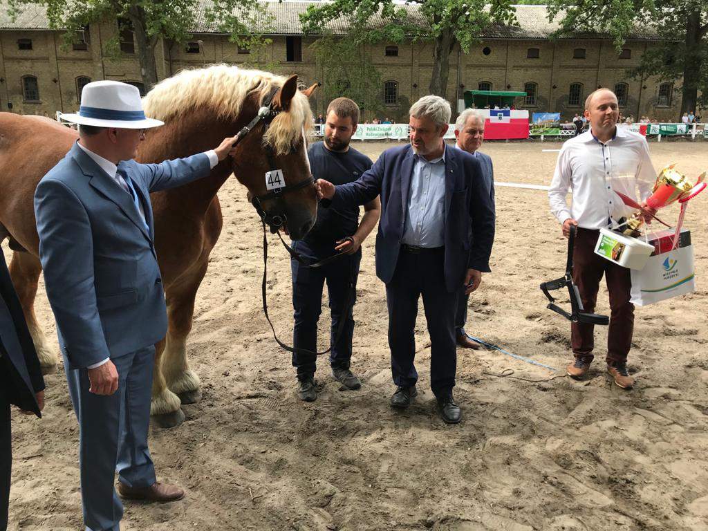 W XIX Ogólnopolskim Młodzieżowym Czempionacie Koni Rasy Polski Koń Zimnokrwisty brał udział także były minister rolnictwa, Jan Krzysztof Ardanowski.