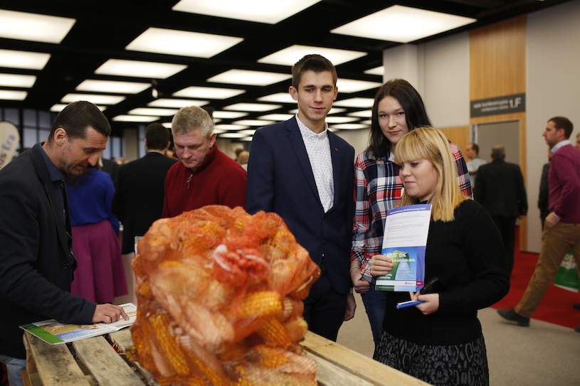 Konkursowy worek z kukurydzą. Ile kolb mieści worek? Jeszcze dziś poznamy zwycięzcę.