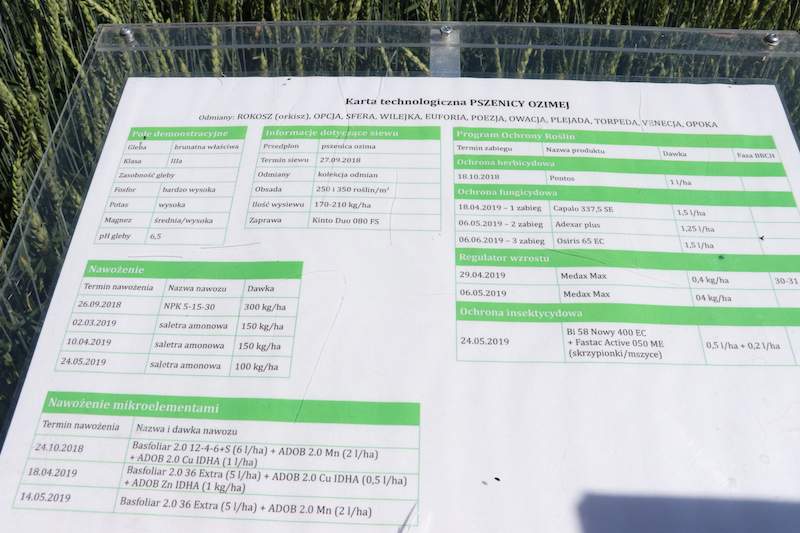 Karta pola dla pszenicy ozimej z produktami firmy BASF