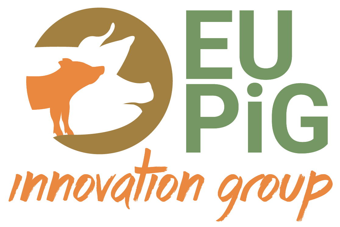 Międzynarodowy projekt dobrych praktyk hodowlanych – EU PiG