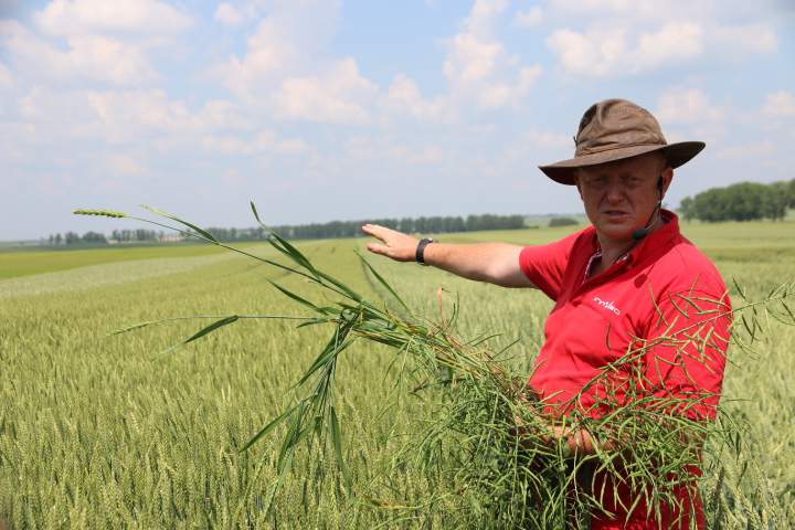 Andrzej Brachaczek, dyrektor działu badań i rozwoju Innvigo.