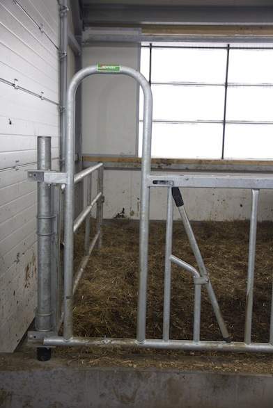Bramka do przepędu zwierząt z części przeznaczonej dla młodzieży i krów zasuszonych do tej dla krów w laktacji o szerokości 3,25 m.