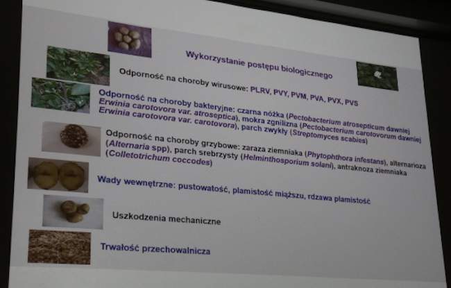 postęp biologiczny w "walce" z zarazą ziemniaka