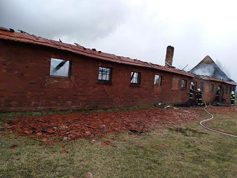 Pożar w chlewni
