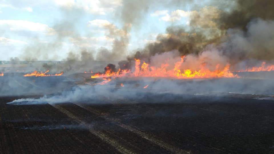 Spłonęło 80 ha zboża