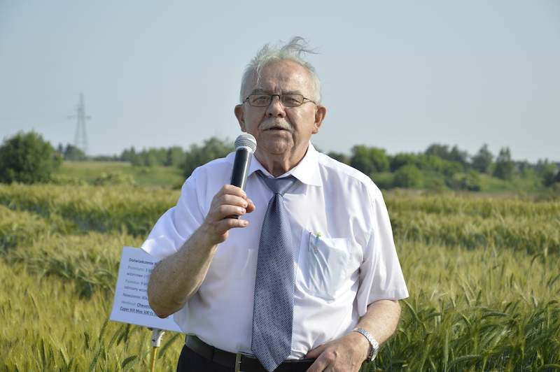 Prof. dr Edward Arseniuk. Poletka doświadczalne Instytutu Hodowli i Aklimatyzacji Roślin w Radzikowie