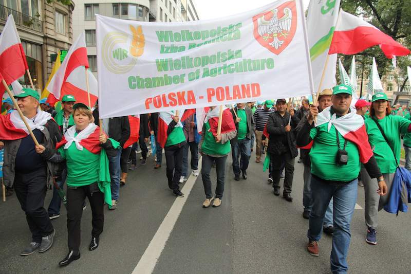 W grupie ok. 100 polskich rolników znalazła się silna reprezentacja Wielkopolskiej Izby Rolniczej.
