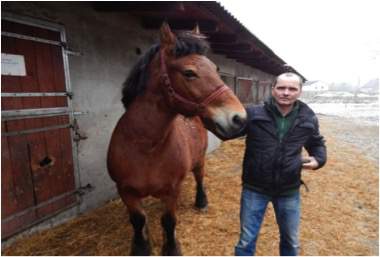 Andrzej Serwatka: „Na początku 'dojenie' klaczy szło bardzo opornie, konie są często płochliwe. Proces przyzwyczajania klaczy do codziennego udoju wymaga wielu zabiegów, cierpliwości, pokory i szacunku dla zwierząt”.