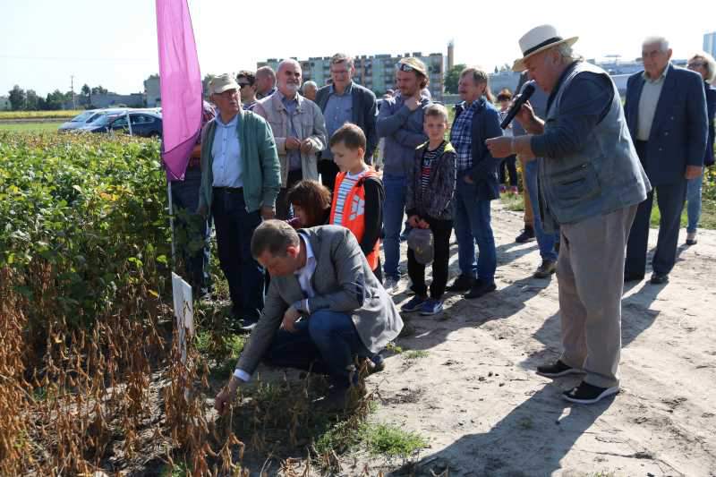IV Wielkopolskei Święto Soi w Skalmierzycach.