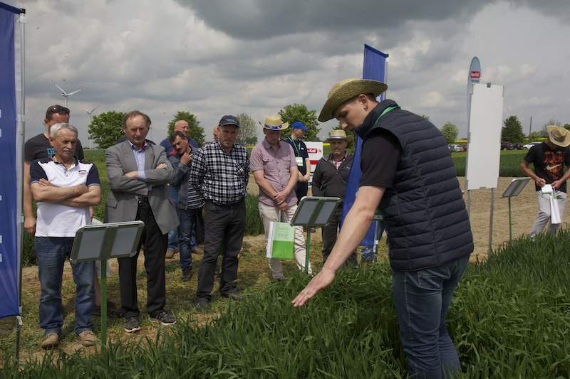 Uczestnicy warsztatów polowych Agro Akademii BASF