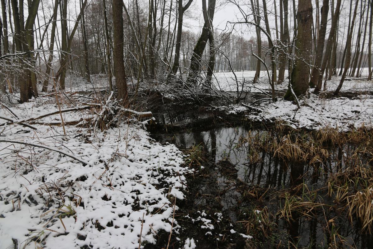 Część zastawek to konstrukcja z drewna ustabilizowana glebą. Jeśli porośnie chociażby trawą, to zyskuje dodatkowe wzmocnienie przed rozmywaniem.