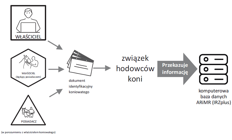 zgłoszenie do rejestru koniowatego, urodzonego w Polsce, wpisanego do księgi prowadzonej w innym kraju członkowskim