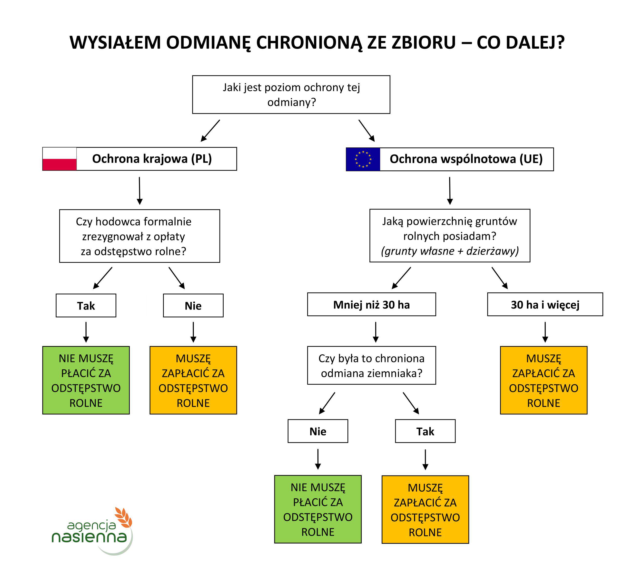 Na czym polega ochrona wyłącznego prawa?