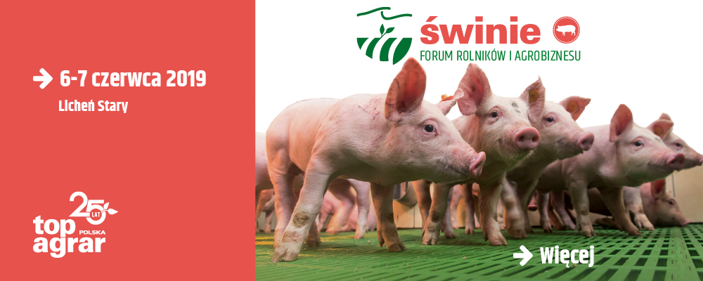 Forum Rolników i Agrobiznesu - Świnie