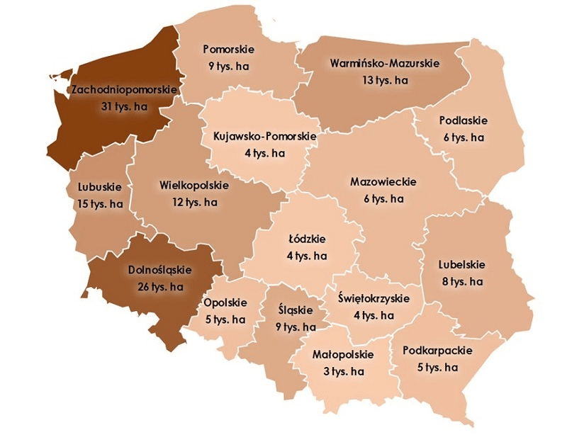Grunty do rozdysponowania w Polsce