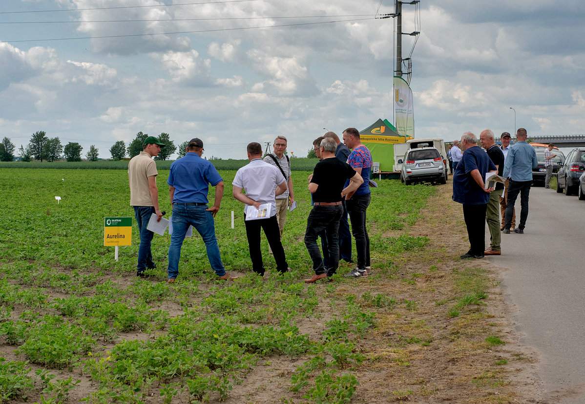 Zainteresowanie demonstracyjnymi poletkami było całkiem znaczące