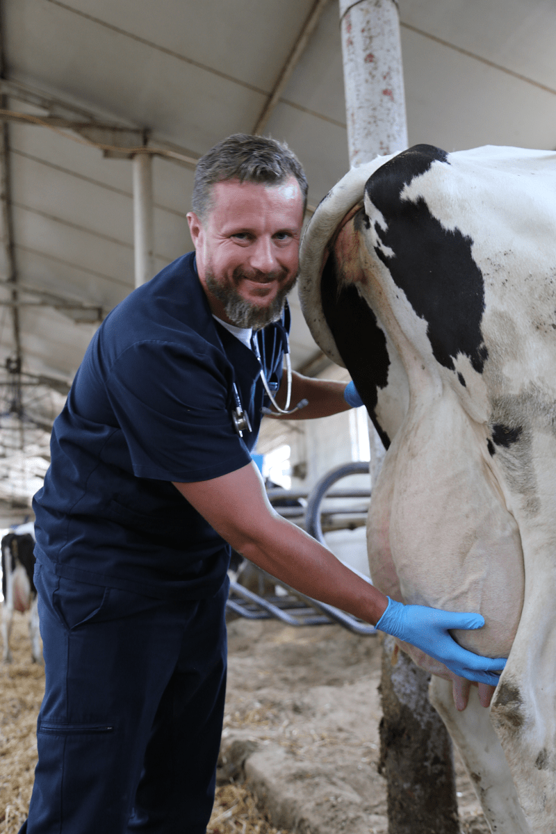 – Nie ma jednego uniwersalnego protokołu postępowania i leczenia colimastitis. W naszym przypadku krowy przeżyły i wróciły do pełnej mleczności” – Michał Barczykowski.