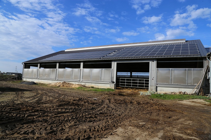 Instalacja fotowoltaiczna 2 x 20 kW na dachu nowej obory, która znacznie zredukowała opłaty za energię elektryczną.