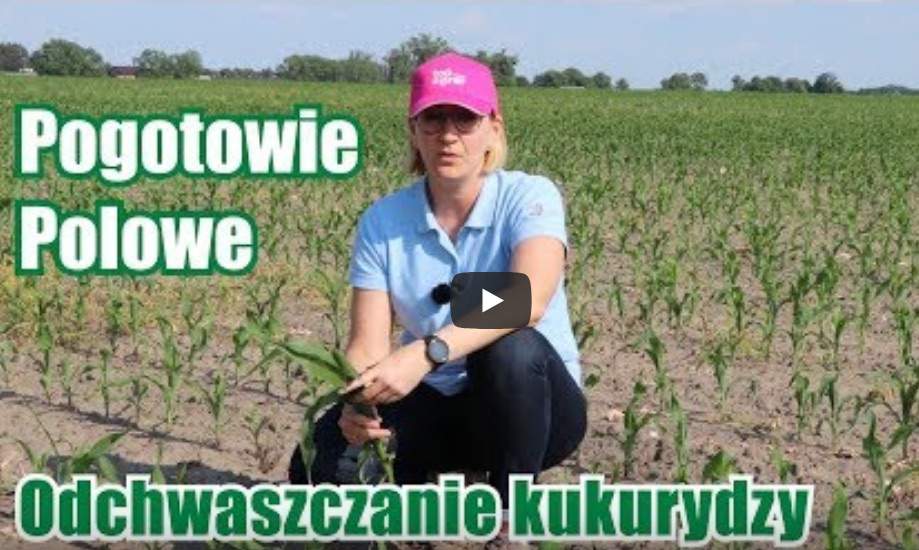 pogotowie polowe TAP