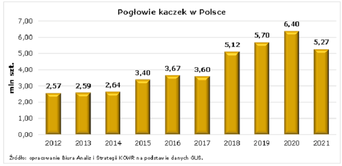 Pogłowie kaczek w Polsce