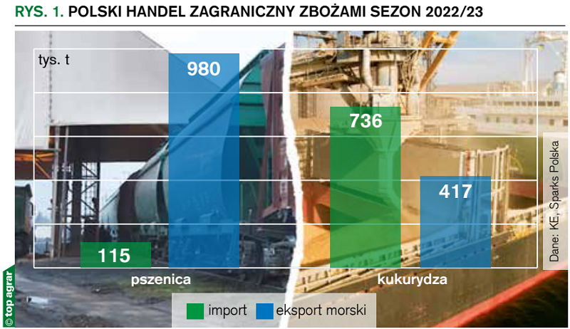  Polski handel zagraniczny zbożami sezon 2022/23
