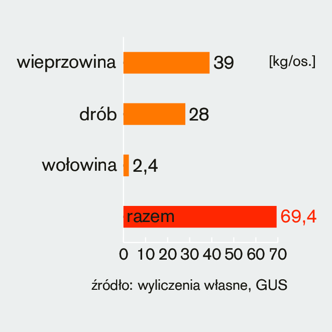 Rys._4._Struktura_grupy_w_Polsce