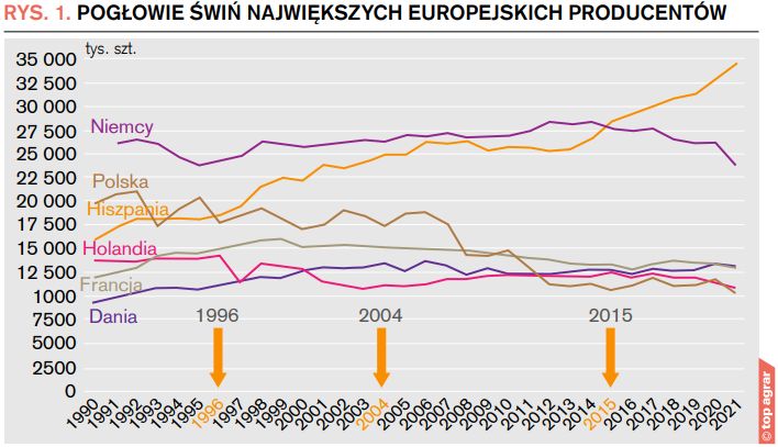Rys. 1. Pogłowie świń największych europejskich producentów