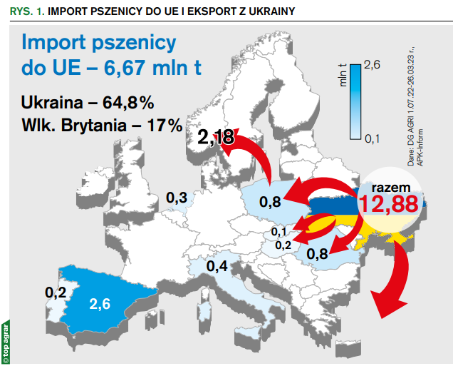 Rys. 1. Import pszenicy do UE i eksport z Ukrainy