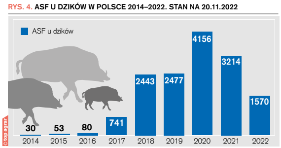 Rys. 4. ASF u dzików w Polsce 2014–2022. stan na 20.11.2022