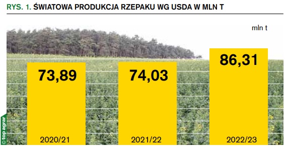 Rys. 1. Światowa produkcja rzepaku wg USDA w mln t