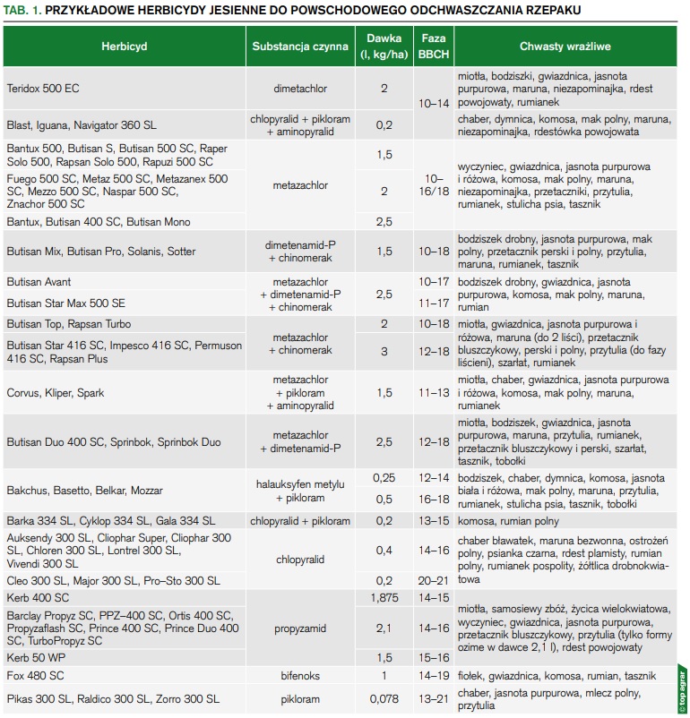 Tabela 1. Przykładowe herbicydy jesienne do powschodowego odchwaszczania rzepaku