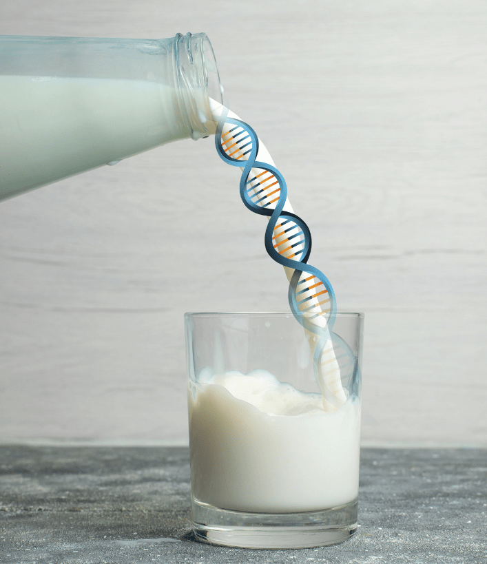 Od grudnia 2021 roku PFHBiPM realizuje projekt współfinansowany z Funduszu Promocji Mleka, pn. „A2/A2 nowa droga produktów mlecznych – zastosowanie selekcji genomowej w produkcji żywności o obniżonej alergenności”