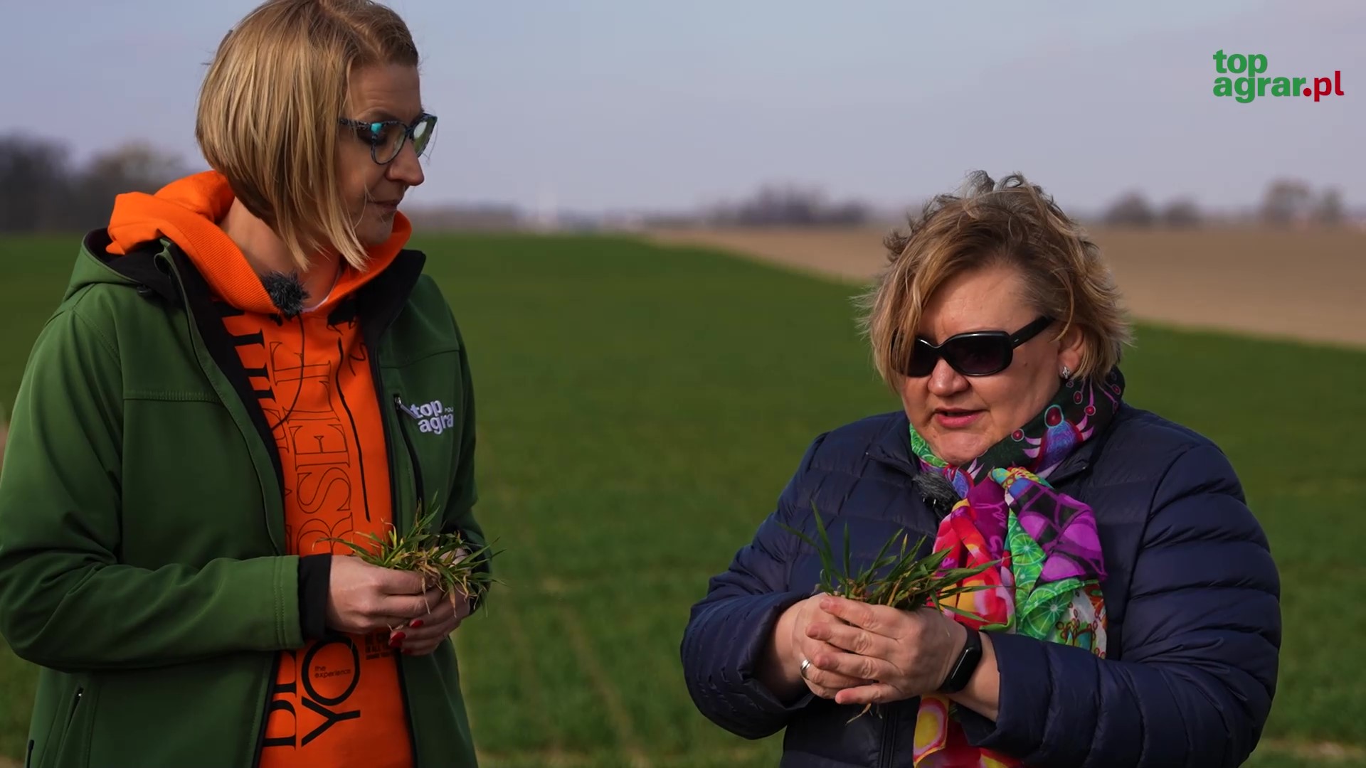 Ciepły i wilgotny luty sprzyjał presji chorób. Suchy i chłodny marzec, z jednej strony osłabił ich presję, a z drugiej zmusił zboża do redukcji pędów bocznych. Czy warto było wykonać, tzw. zabieg czyszczący (T0)? Jakie choroby występują tej wiosny i jak podejść do zabiegu T1 w zależności od przebiegu pogody?
 
W lutym na zbożach obserwowaliśmy objawy mączniaka prawdziwego, septoriozy paskowanej, rdzy brunatnej czy plamistości siatkowej na jęczmieniu, a także rynchosporiozy. Część rolników wykonała na przełomie lutego i marca, tzw. zabieg czyszczący (T0), z wykorzystaniem środków bazujących na siarce czy miedzi. Wydawać by się mogło, że presja chorób w suchym i chłodnym marcu jest zdecydowanie słabsza. Tymczasem lustracja wielu plantacji pokazuje, że choroby mimo wszystko występują i można powiedzieć, że chwilowo „tylko się przyczaiły”.
 
Aktualnie na pszenicy, szczególnie na odmianach bardziej podatnych, zaobserwujemy objawy porażenia mączniakiem prawdziwym, ale także objawy septoriozy paskowanej liści. Na jęczmieniu, ale także na pszenżycie, widać rdzę brunatną. Na szczęście stosunkowo małe jest porażenie podstawy źdźbła w tym roku, co może nieco uspokoić. Sucha i chłodna pogoda z przymrozkami pod koniec marca nie sprzyjała chorobom, co jednak nie oznacza, że one zniknęły. Wręcz przeciwnie – jak tylko warunki zmienią się na bardziej im sprzyjające, tzn. spadnie deszcz i zrobi się nieco cieplej, na pewno zaatakują. Jak się na to przygotować? W tym odcinku Pogotowia Polowego odwiedziliśmy z kamerą Stację Doświadczalną UP Poznań w Przybrodzie i wraz z dr hab. Zuzanną Sawinską, prof. UP w Poznaniu oraz Arturem Strzelińskim, kierownikiem Stacji Doświadczalnej UP w Złotnikach, podpowiadamy z presją jakich chorób musimy się liczyć i jaką przyjąć strategię ochrony zbóż i zabiegu T1, jakie wybrać substancje czynne w zależności od presji chorób oraz kiedy wykonać najlepiej zabieg, aby zabezpieczyć jak najdłużej łan.Nie znasz jeszcze top agrar Polska? Zamów bezpłatny egzemplarz!