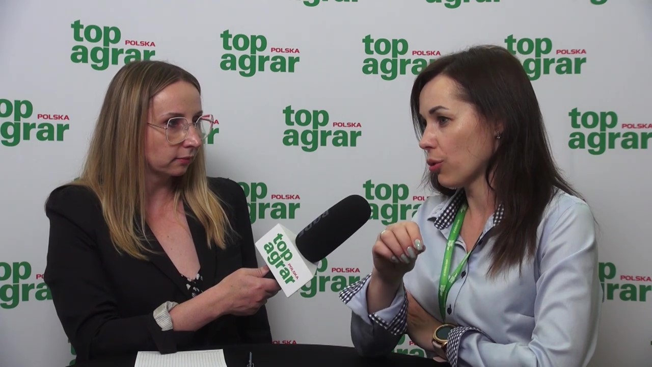 Grupa Danish Genetics produkuje rocznie do 260 tys. loch czystorasowych. Na co stawiają Duńczycy w swoim programie hodowlanych i kto jest ich głównym klientem – mówi Irina Vasylevych z Breeders of Denmark.
- Nasz Program hodowlany jest w 100% komercyjny. Obserwujemy rezultaty w  gospodarstwach naszych klientów. Dla nas jest bardzo ważne, by klienci byli zadowoleni z naszego produktu: zakłady mięsne chciały kupować naszą wieprzowinę, a właściciele tuczarni kupowali nasze prosięta i byli zadowoleni z konwersji paszy oraz dziennych przyrostów, by przy minimalnym wkładzie mogli osiągnąć maksymalne wyniki – mówi  Vasylevych z Breeders of Denmark.
Obejrzyj cały wywiad z Iriną Vasylevych z Breeders of Denmark.